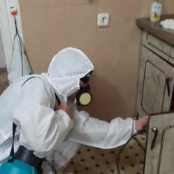 Дезинфекция от муравьев в квартире Тропарёво метро Москвы