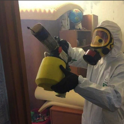 Уничтожение клопов в квартире. Тропарёво